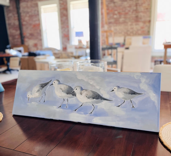 Sand piper beach birds