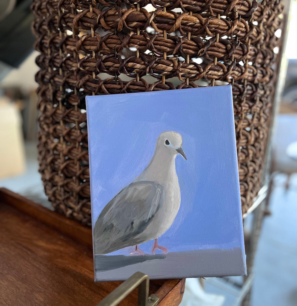 Dove 3