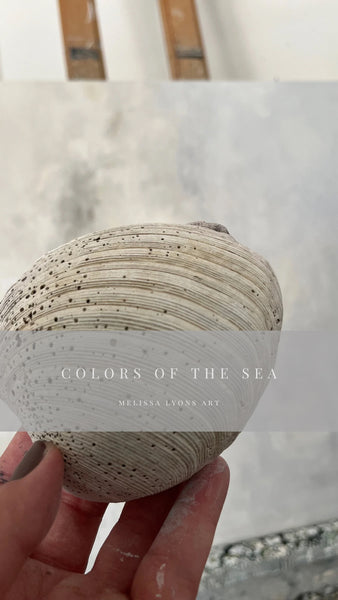 Seashell abstract