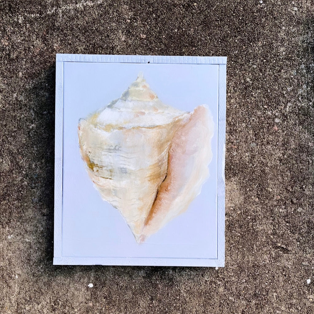 Shell on French blue