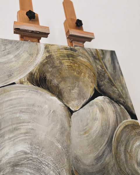 Clam shells