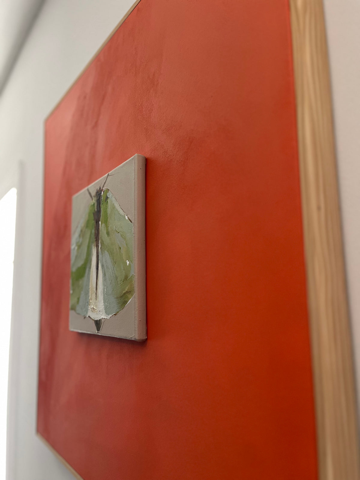 Moth #3