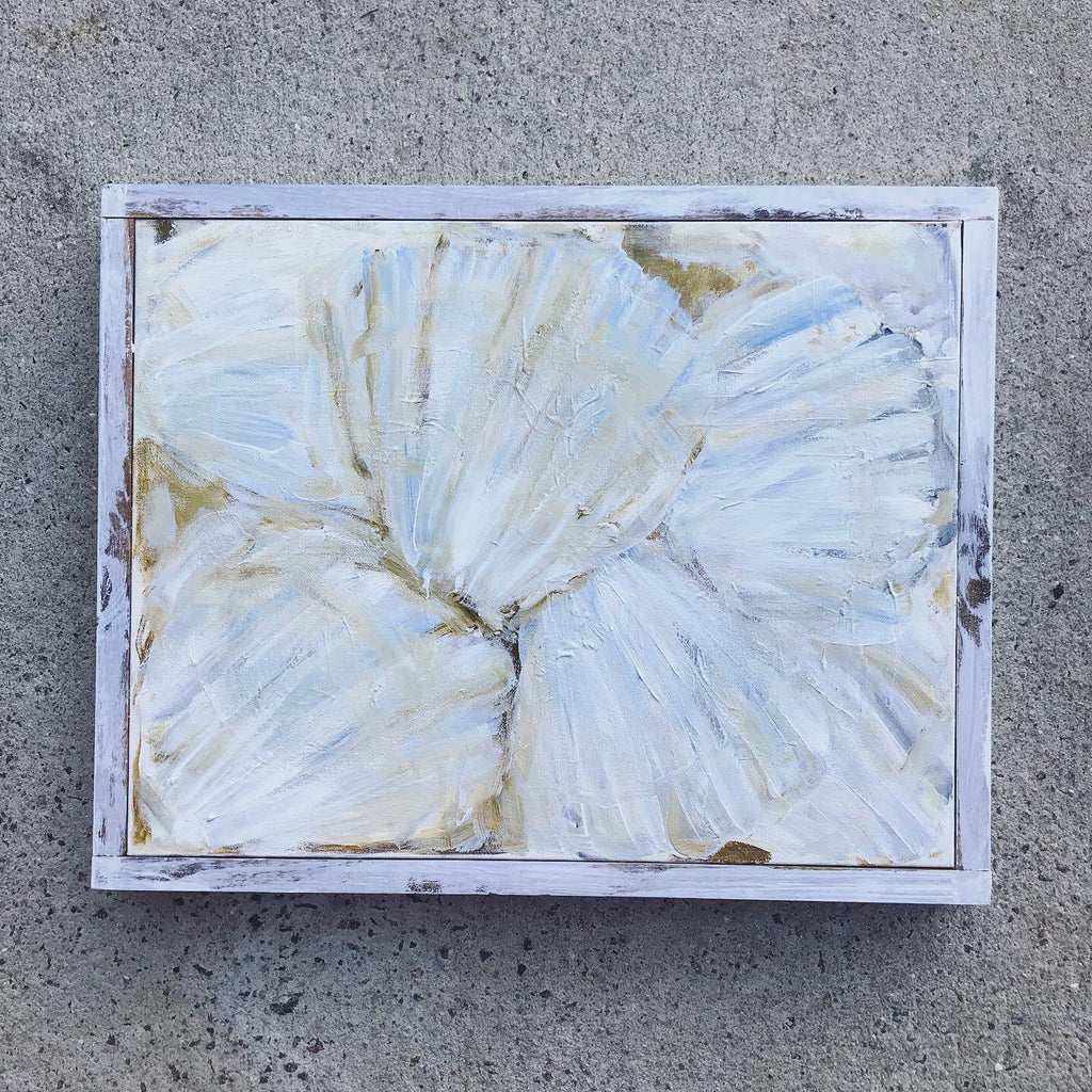 seashells