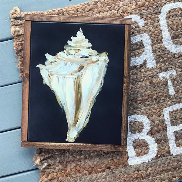 seashell