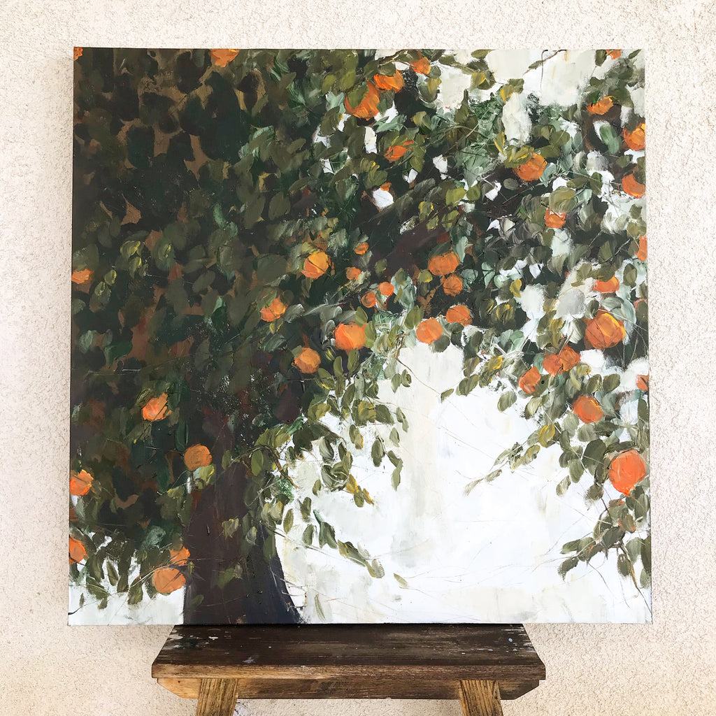 Orange tree