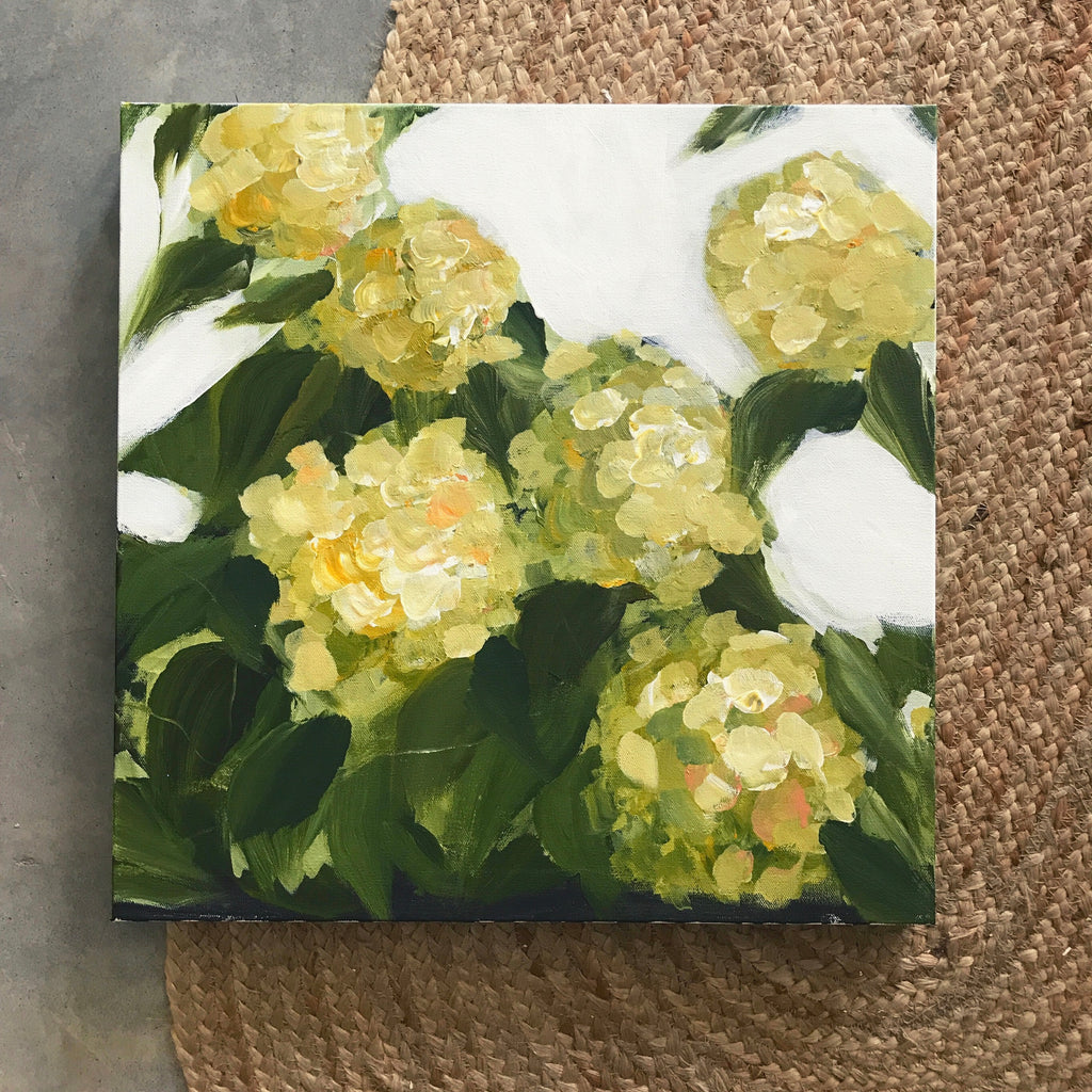 Hydrangeas