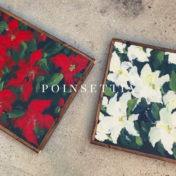 red poinsettias