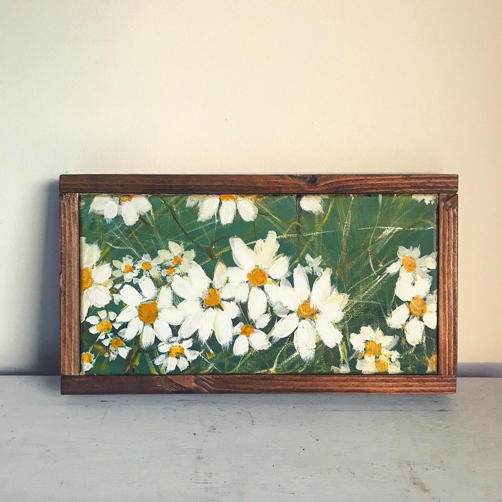 daisies