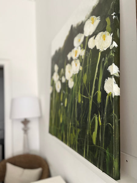 White poppy field