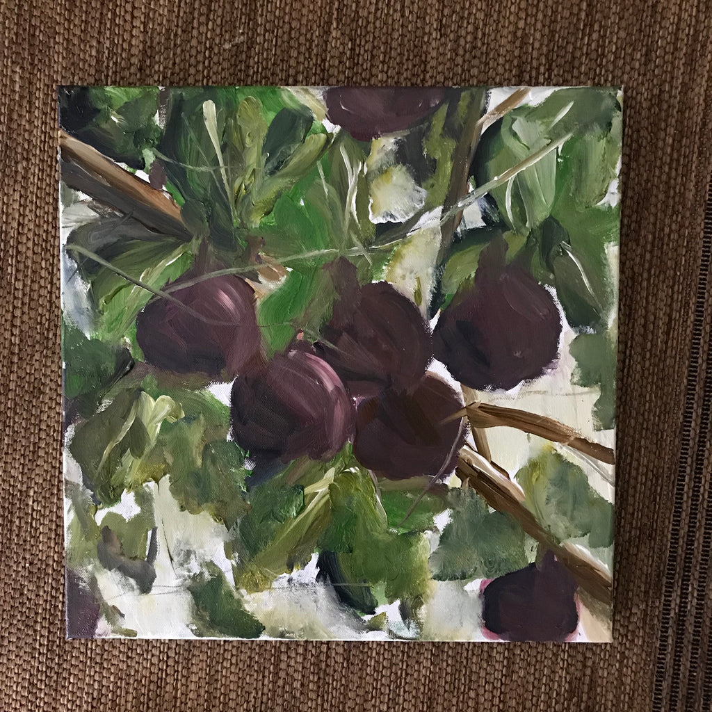 Fig tree one