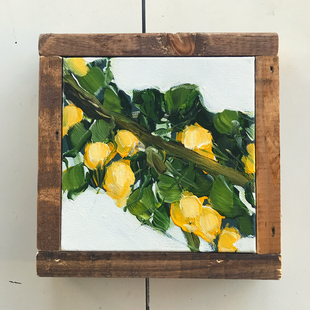 lemon tree branch