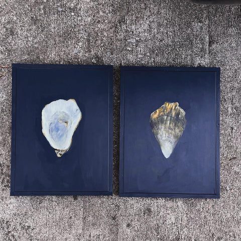 Oysters
