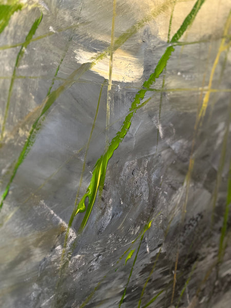 Marsh Grass
