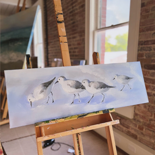 Sand piper beach birds