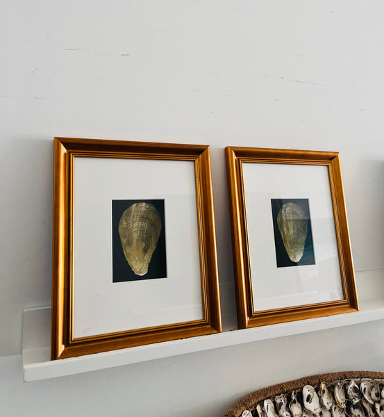 Two original oysters in gold frames NO SHIPPING