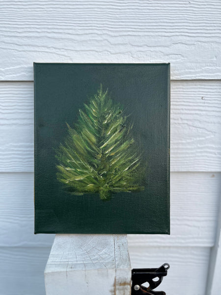 evergreen tree with gold edge
