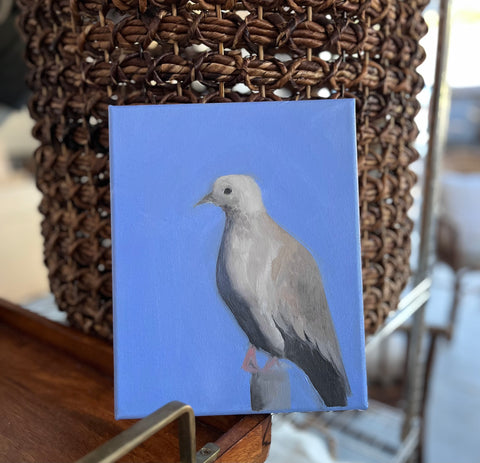 Dove 4