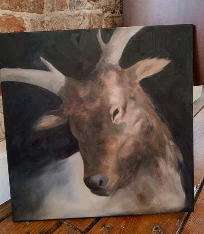 Elk ( and a little Rudolph! )