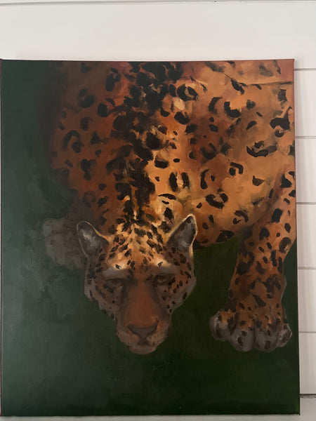 Leopard