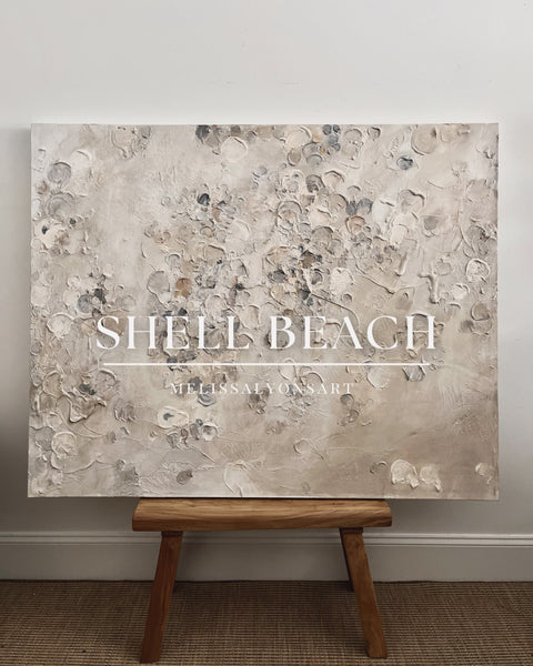 Shells on the beach RESERVED FOR STEVE