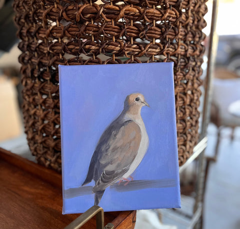 Dove 2