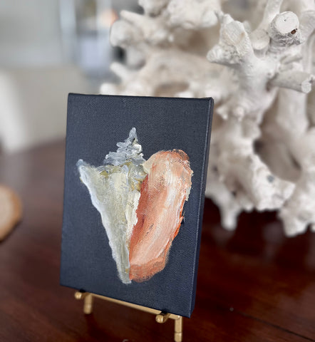 tiny seashell 2