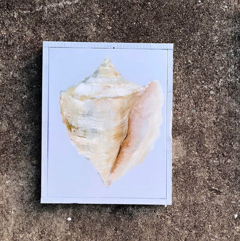 Shell on French blue
