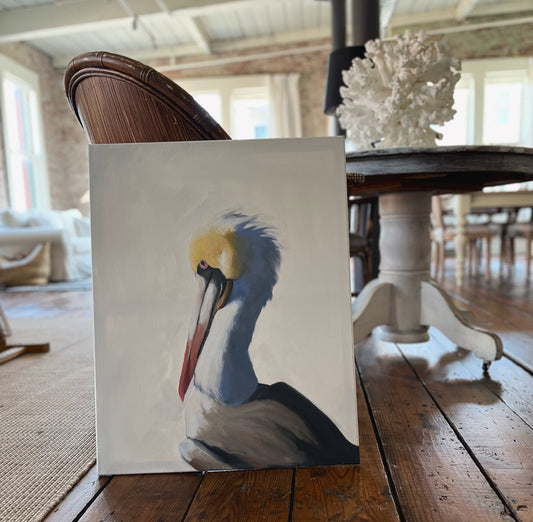 Pelican