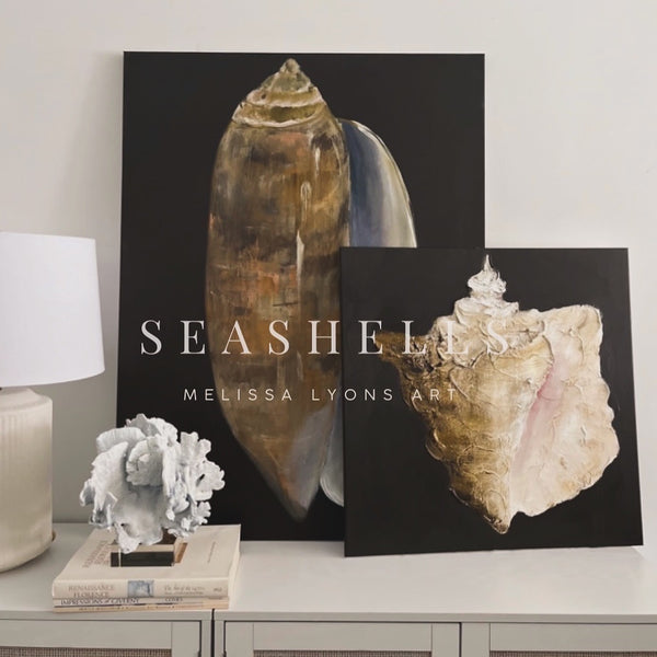 Seashell