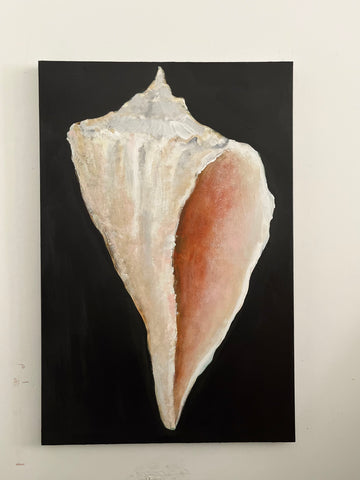 Seashell