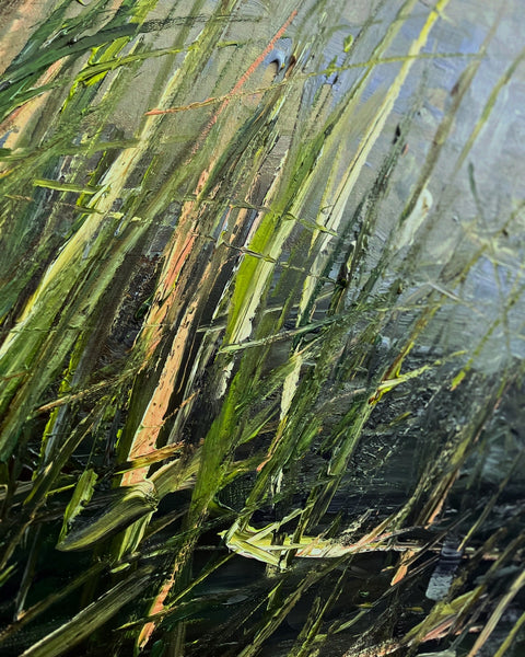 Marsh Grass