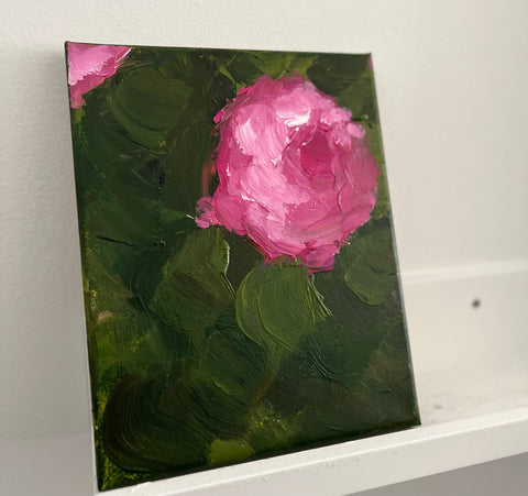 rose study
