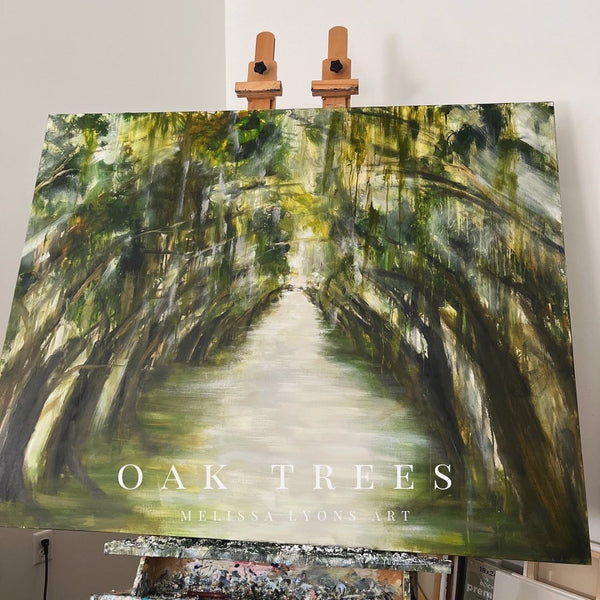 Oak tree / Spanish moss