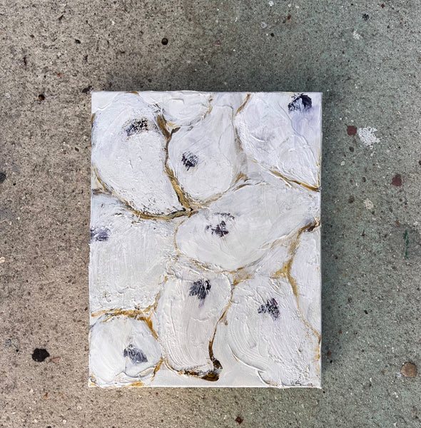 Oyster cluster