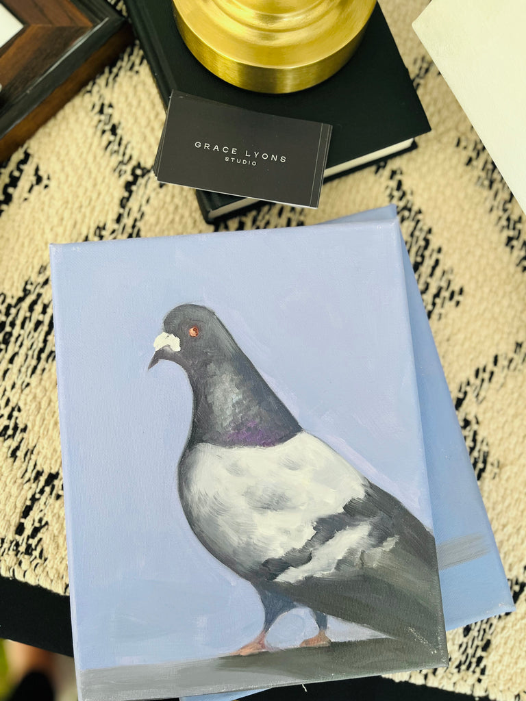 Not a dove ( pigeon)