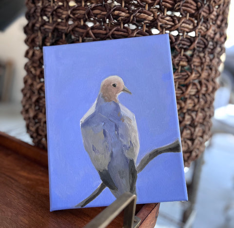 Dove 1
