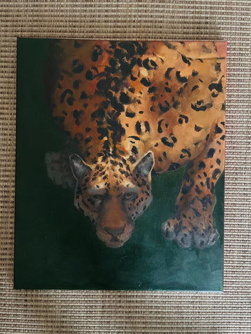 Leopard