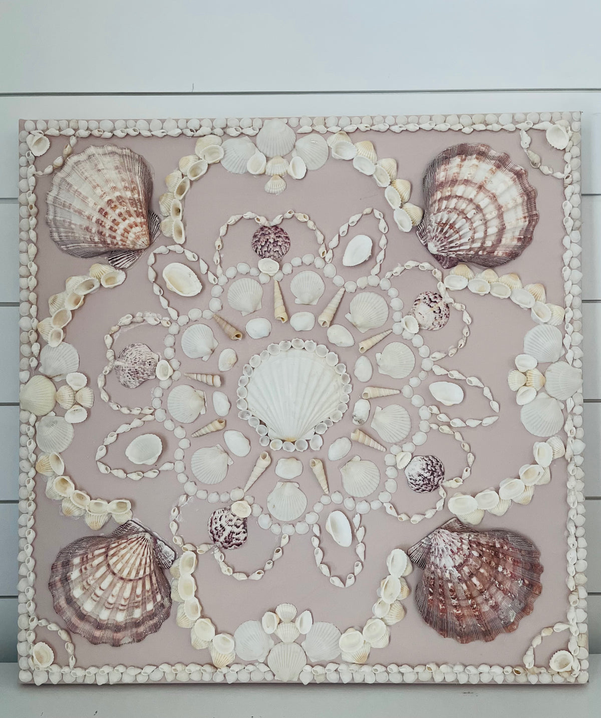 Seashell Canvas
