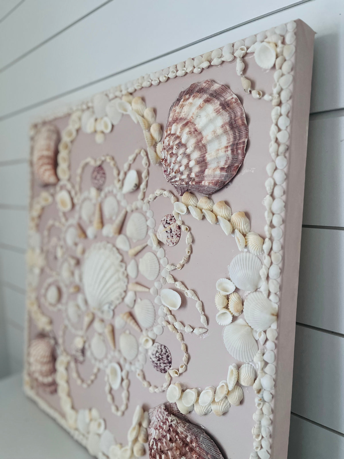 Seashell Canvas