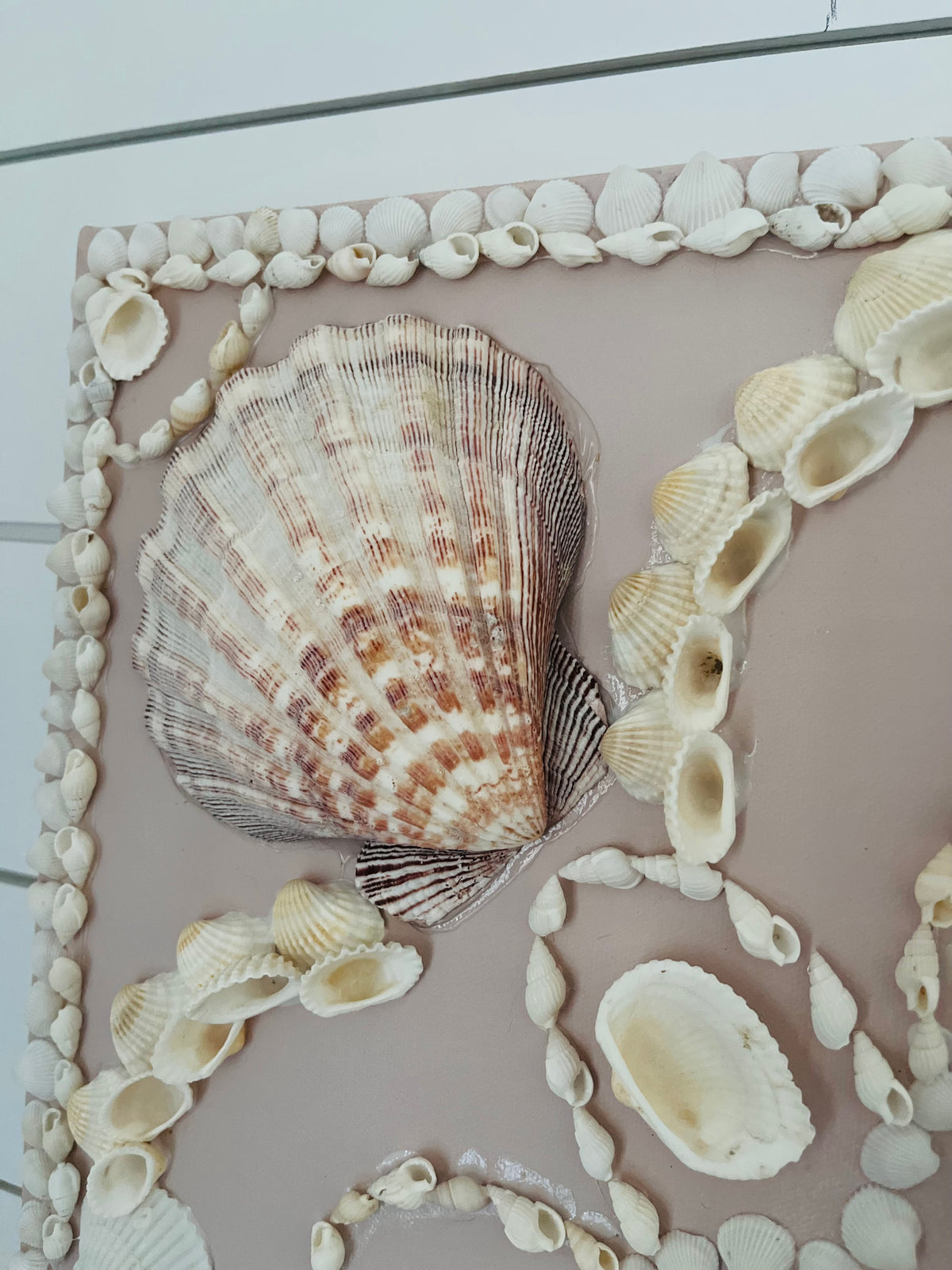 Seashell Canvas