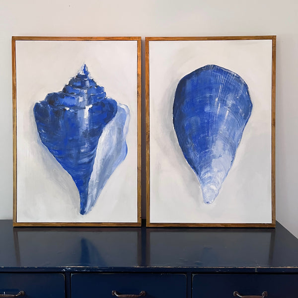 seashell set