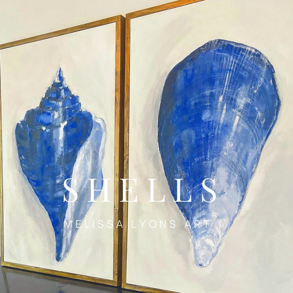 seashell set