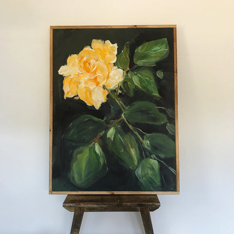 yellow rose
