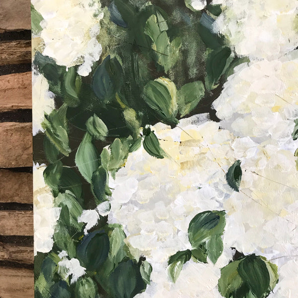 White hydrangea bush