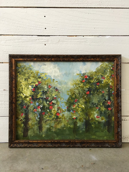 Apple tree orchard