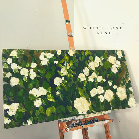 White rose bush