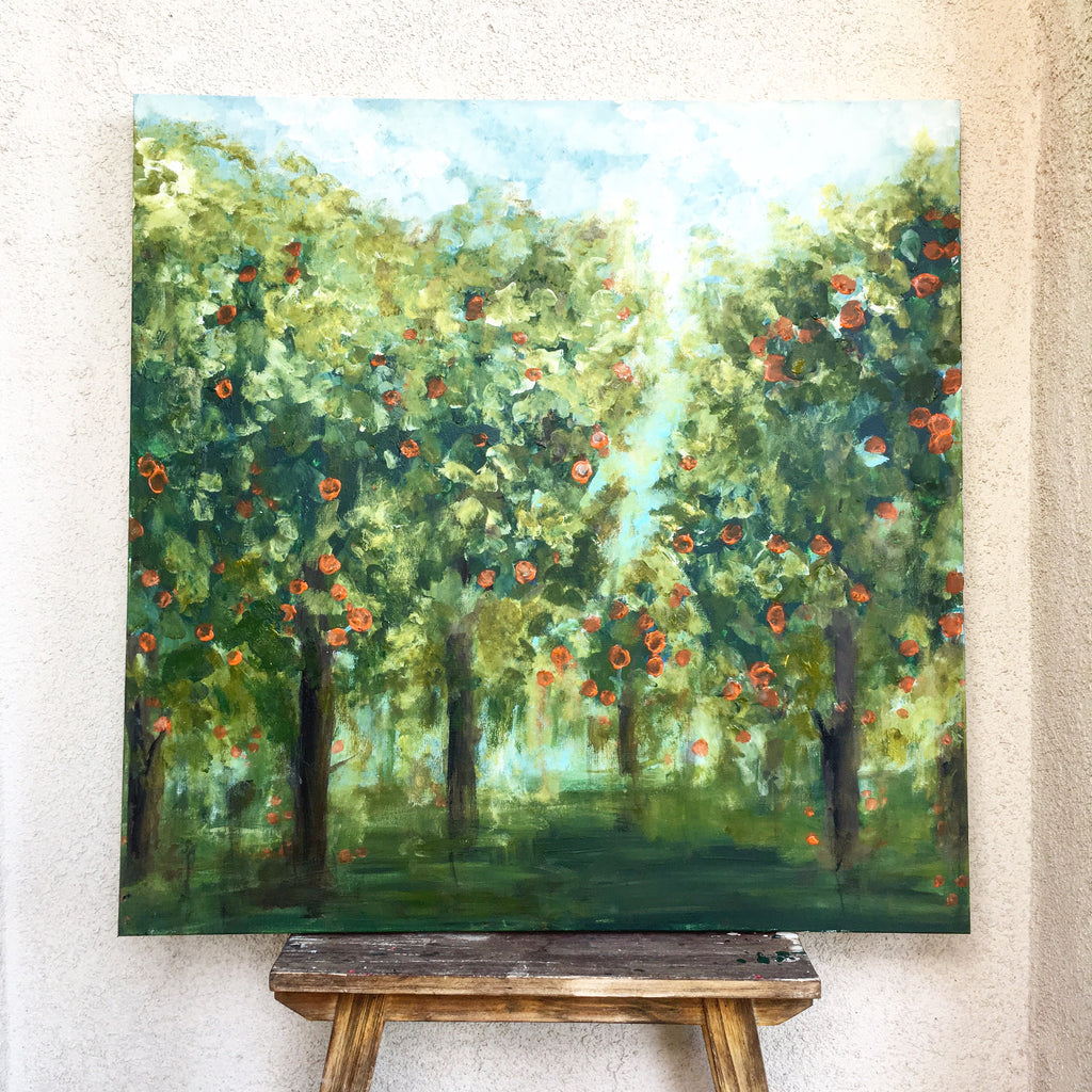 Orange Tree orchard