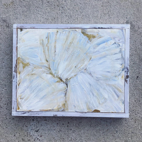 seashells