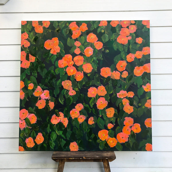Camellias