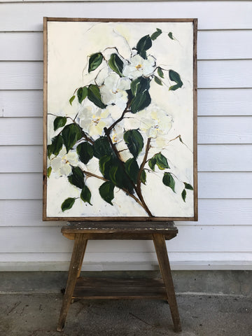 Magnolia